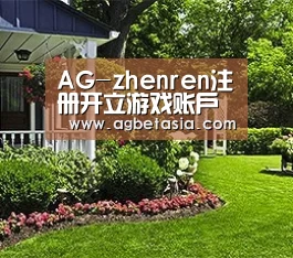 AG-zhenren注册开立游戏账户和游戏下注软件使用权