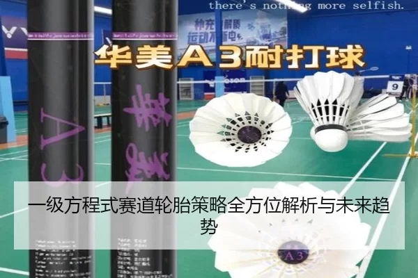 一级方程式赛道轮胎策略全方位解析与未来趋势